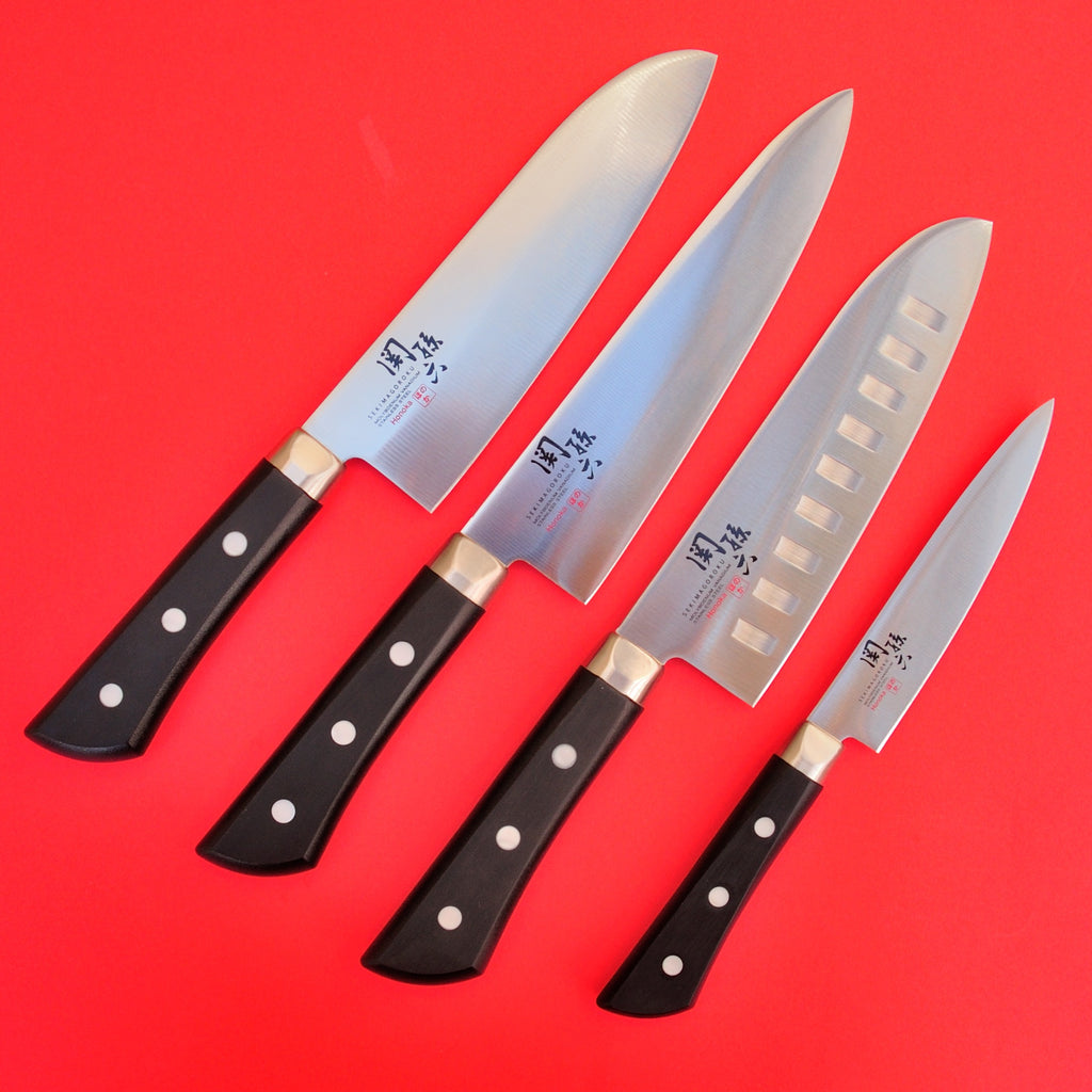 Chef's kitchen knife KAI Stainless carbon steel AOFUJI 210mm AE 