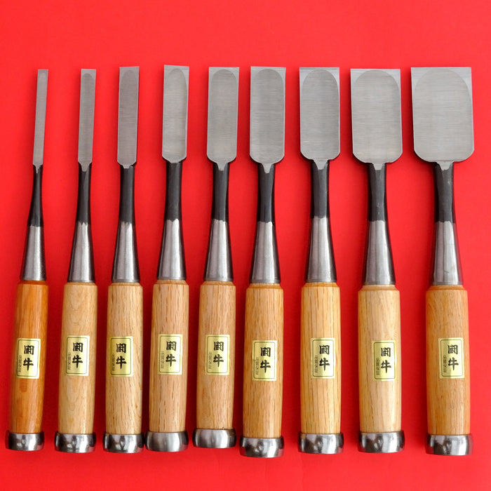 Set 9 japanese Tōgyū Chisel wood oire nomi 6 9 15 36mm Made in Japan -  Osaka Tools